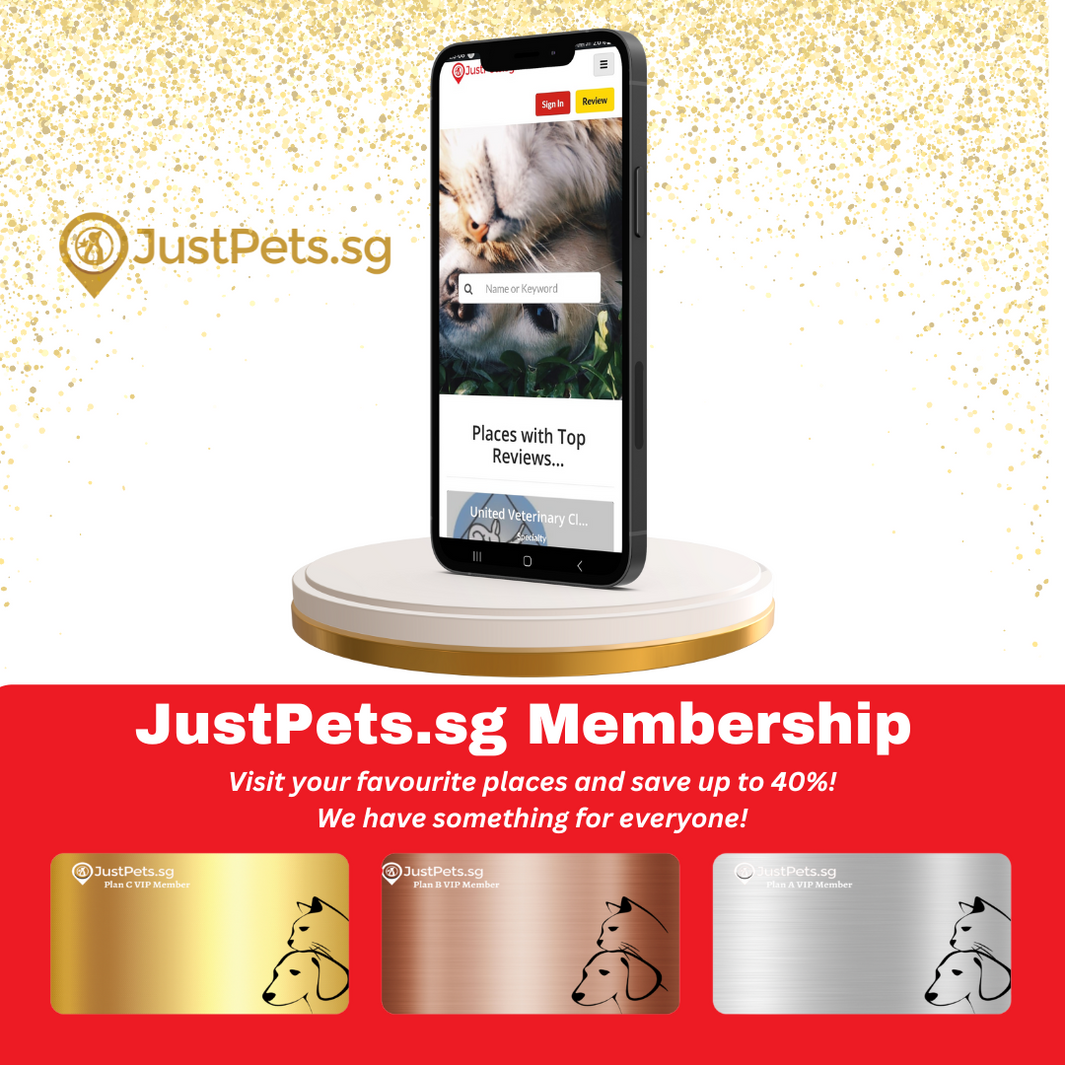 Studio 8Two announces the launch of Justpets.sg : A discount & rewards app for pet owners