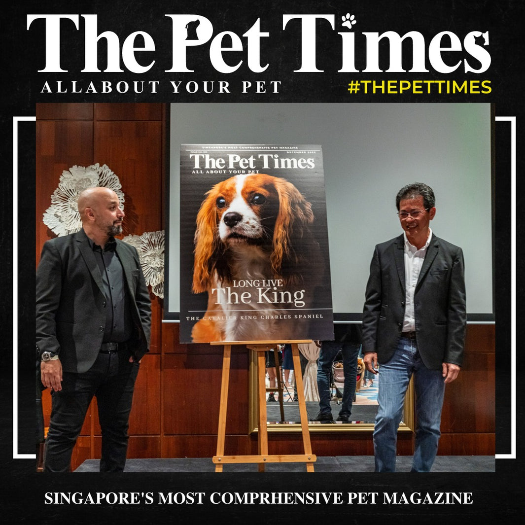 The Launch of the most comprehensive  Pet Media